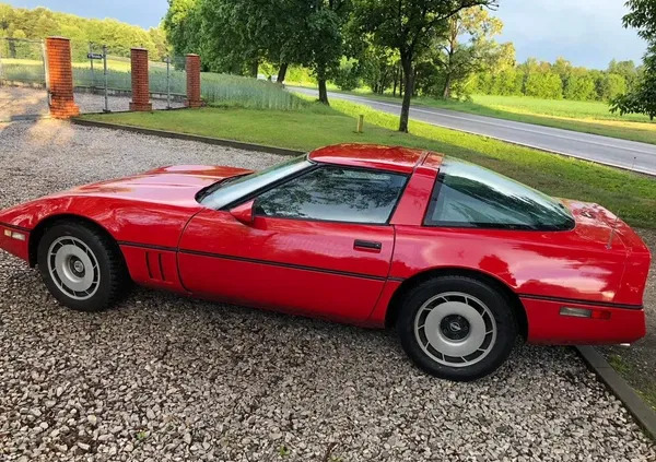 chevrolet łódzkie Chevrolet Corvette cena 49900 przebieg: 140000, rok produkcji 1984 z Skierniewice